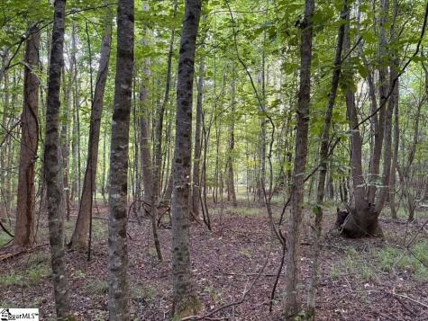 00 Simpson Mill Road Laurens SC 29360