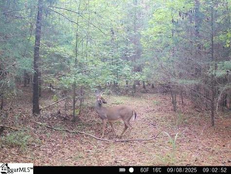 00 Simpson Mill Road Laurens SC 29360