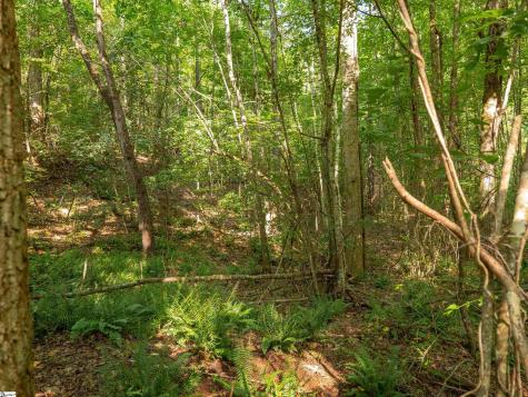 00 Crowe Creek Road Six Mile SC 29682