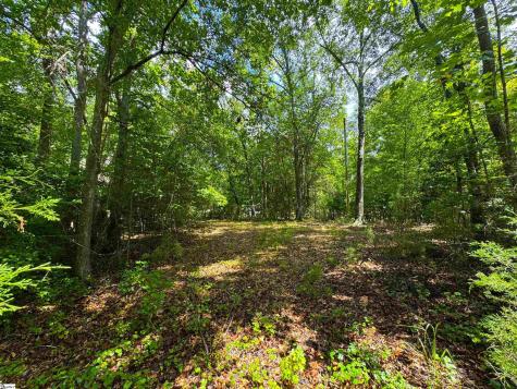 89 Lake Forest Drive Iva SC 29655
