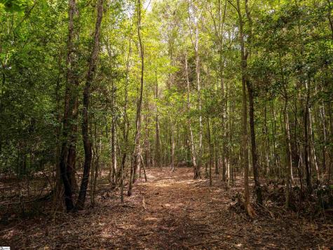 00 Pinetree Road Townville SC 29689