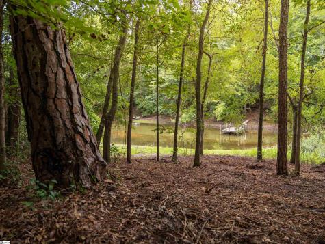 00 Pinetree Road Townville SC 29689