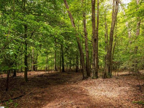 00 Pinetree Road Townville SC 29689