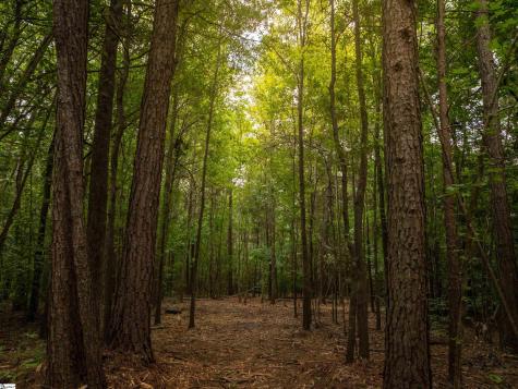 00 Pinetree Road Townville SC 29689