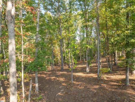 0 Woodall Road Greenville SC 29617
