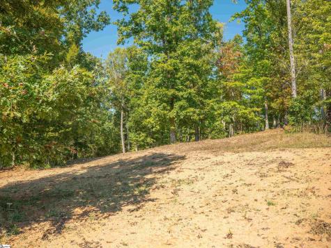 0 Woodall Road Greenville SC 29617
