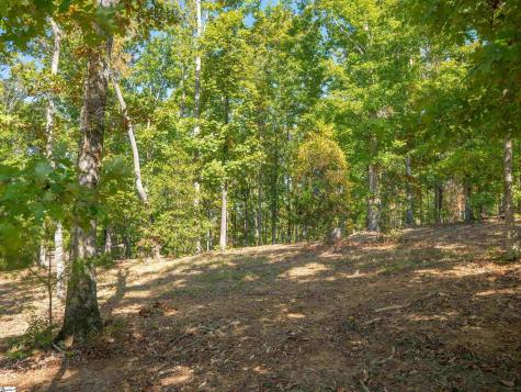 0 Woodall Road Greenville SC 29617