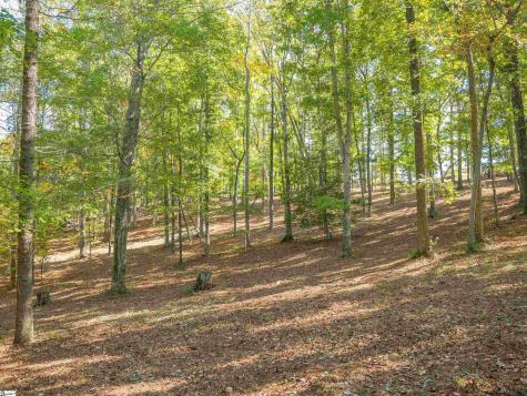 0 Woodall Road Greenville SC 29617
