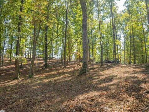 0 Woodall Road Greenville SC 29617