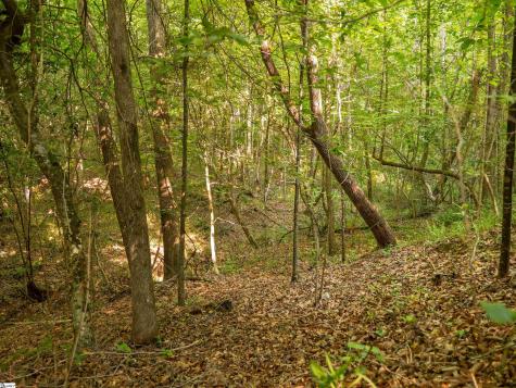 00 Crowe Creek Road Six Mile SC 29682