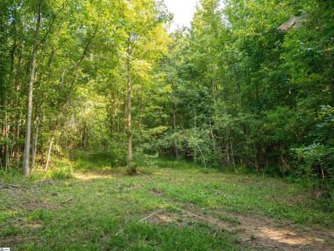 00 Crowe Creek Road Six Mile SC 29682