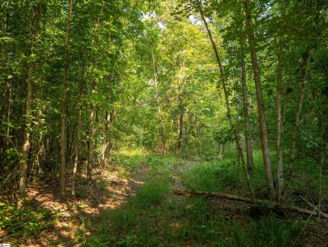 00 Crowe Creek Road Six Mile SC 29682