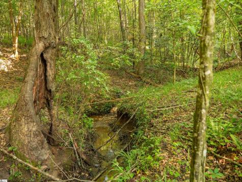 00 Crowe Creek Road Six Mile SC 29682