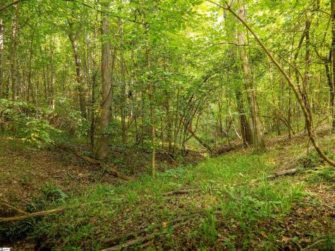00 Crowe Creek Road Six Mile SC 29682