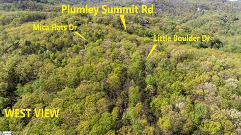 2 Little Boulder Drive Landrum SC 29356