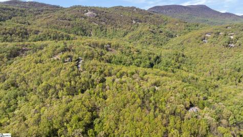 2 Little Boulder Drive Landrum SC 29356