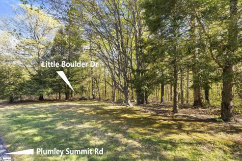 2 Little Boulder Drive Landrum SC 29356