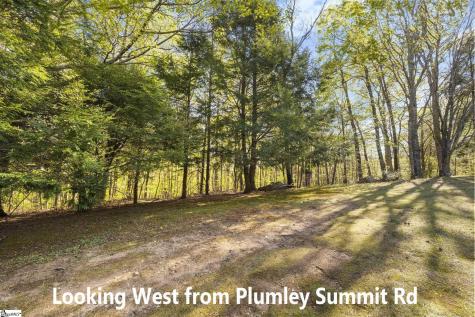 2 Little Boulder Drive Landrum SC 29356
