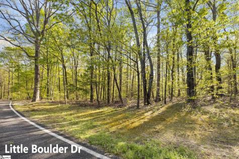 2 Little Boulder Drive Landrum SC 29356