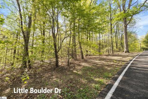 2 Little Boulder Drive Landrum SC 29356