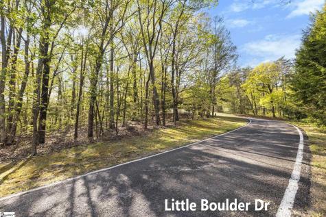 2 Little Boulder Drive Landrum SC 29356