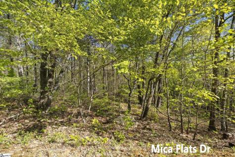 2 Little Boulder Drive Landrum SC 29356