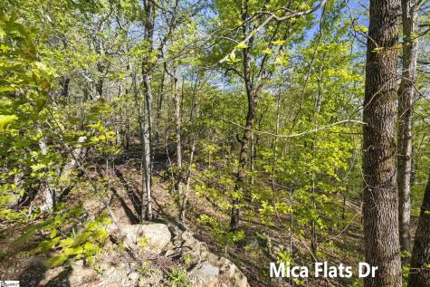 2 Little Boulder Drive Landrum SC 29356