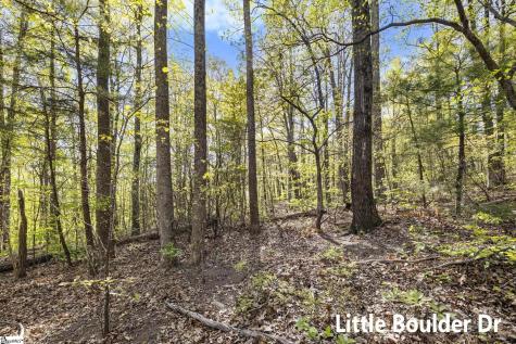 2 Little Boulder Drive Landrum SC 29356