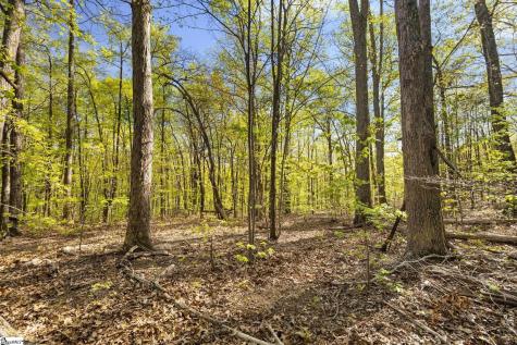 2 Little Boulder Drive Landrum SC 29356