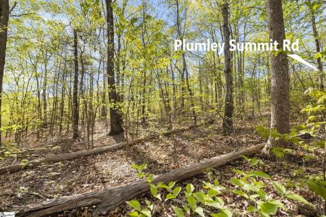 2 Little Boulder Drive Landrum SC 29356