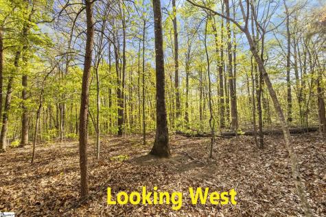 2 Little Boulder Drive Landrum SC 29356