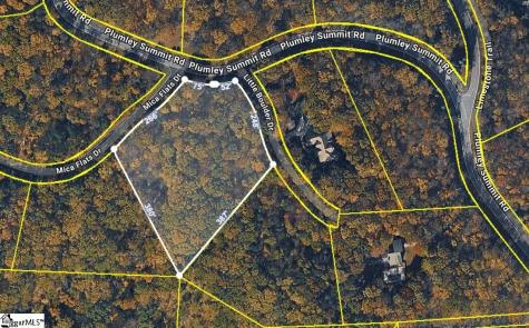2 Little Boulder Drive Landrum SC 29356