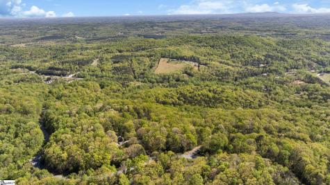 2 Little Boulder Drive Landrum SC 29356