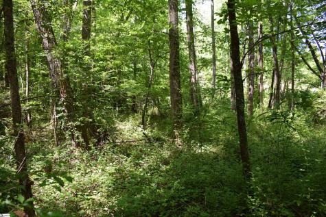 Floyd Blackwell Road Tryon NC 28722