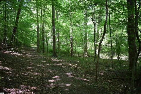 Floyd Blackwell Road Tryon NC 28722