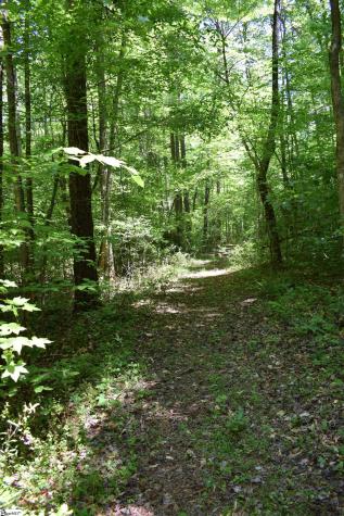 Floyd Blackwell Road Tryon NC 28722