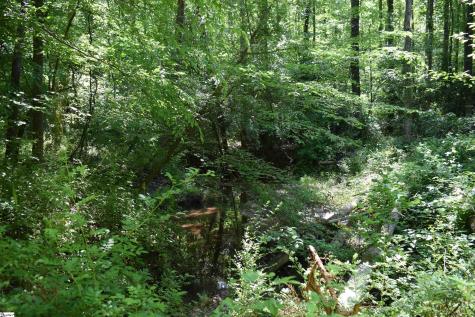 Floyd Blackwell Road Tryon NC 28722