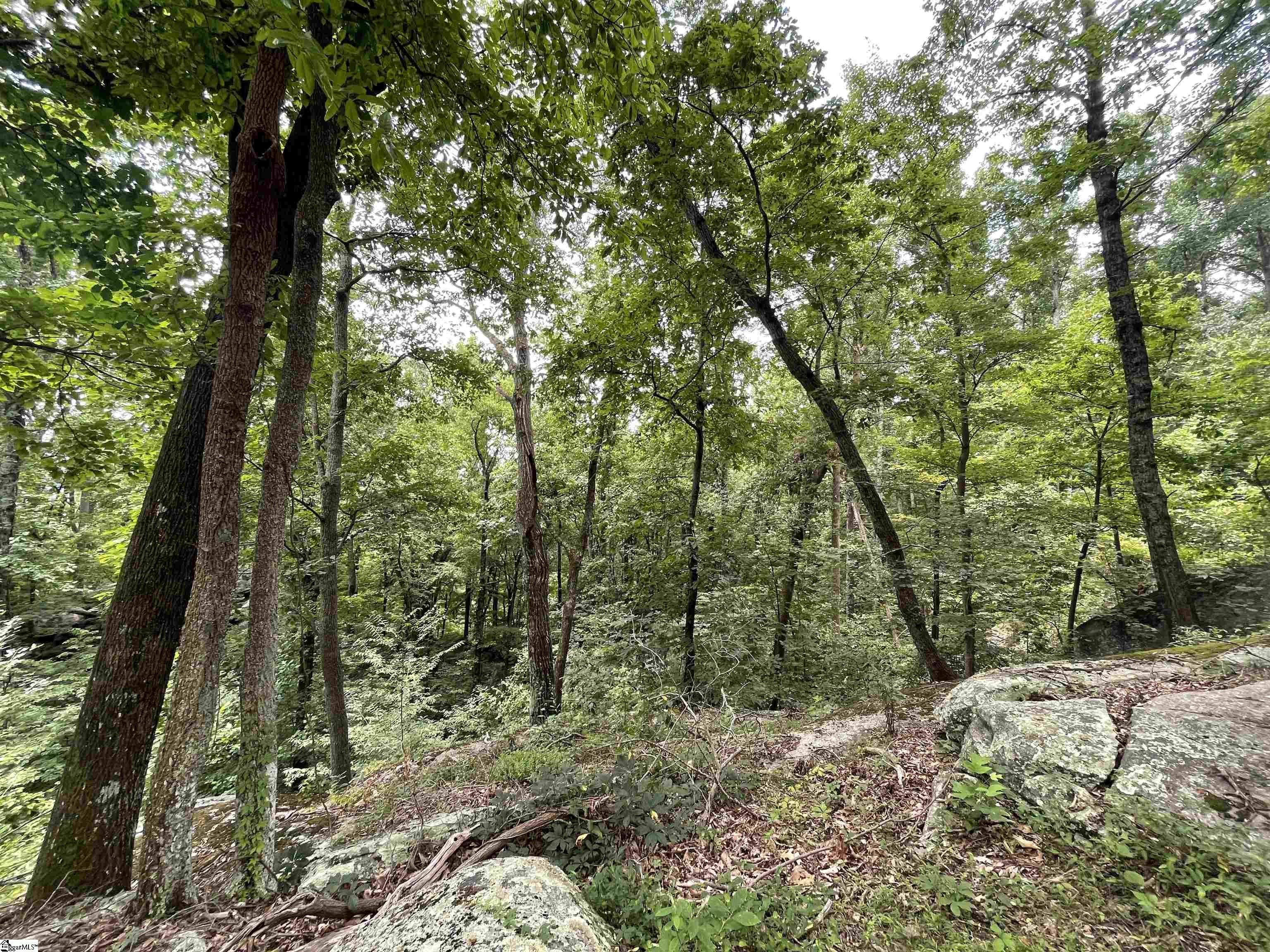 0 Pine Shadow Lane Landrum SC 29356