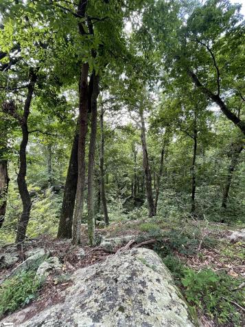 0 Pine Shadow Lane Landrum SC 29356