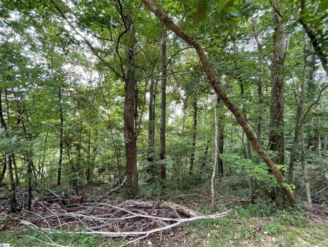 0 Pine Shadow Lane Landrum SC 29356