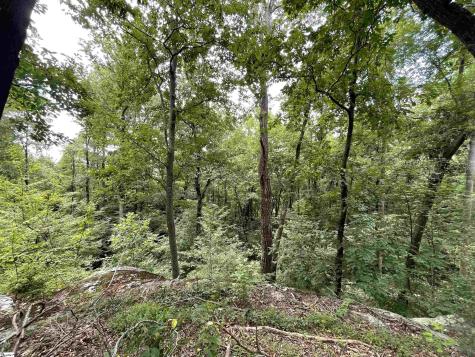 0 Pine Shadow Lane Landrum SC 29356