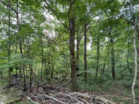 0 Pine Shadow Lane Landrum SC 29356