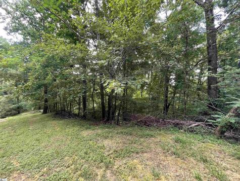 0 Pine Shadow Lane Landrum SC 29356