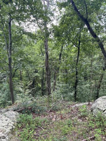 0 Pine Shadow Lane Landrum SC 29356