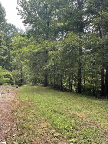 0 Pine Shadow Lane Landrum SC 29356