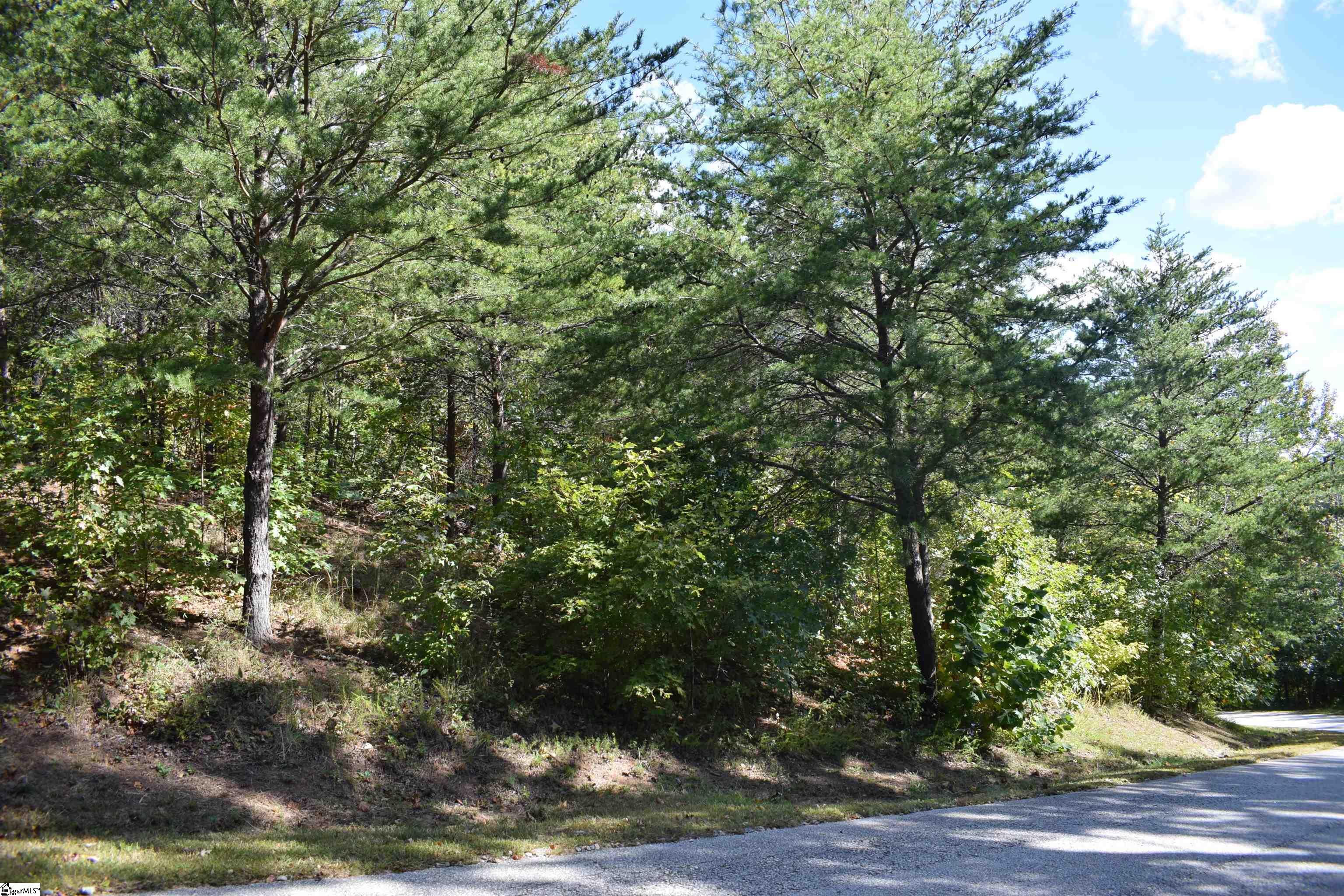 0 Holland Drive Columbus NC 28722