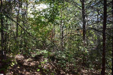 0 Holland Drive Columbus NC 28722