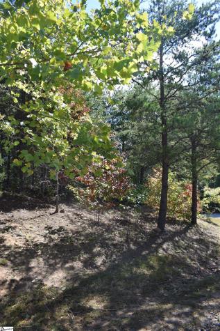 0 Holland Drive Columbus NC 28722