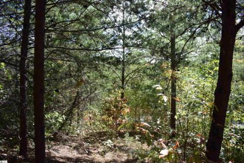 0 Holland Drive Columbus NC 28722