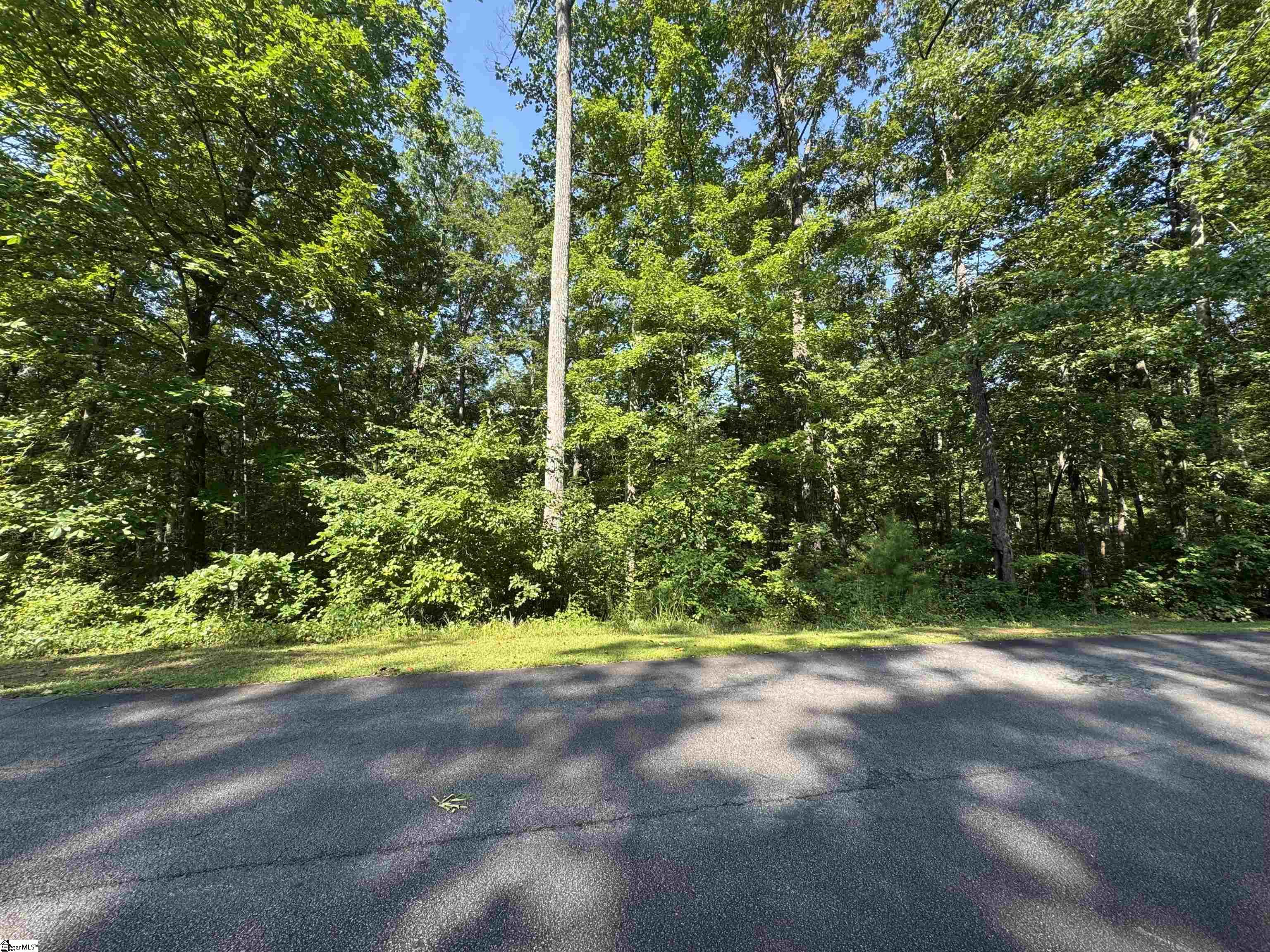 712 Scharlin Drive Pickens SC 29671